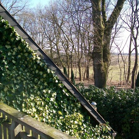 Haus Darmstadt Ankelohe المظهر الخارجي الصورة